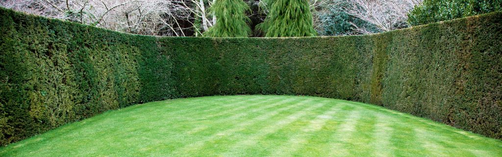 Commercial Hedge Cutting Services Hislop Horticulture