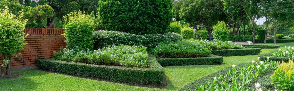 Commercial Shrubs and Borders Maintenance Hislop Horticulture